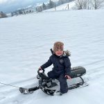 Schlittenfahren im Winter